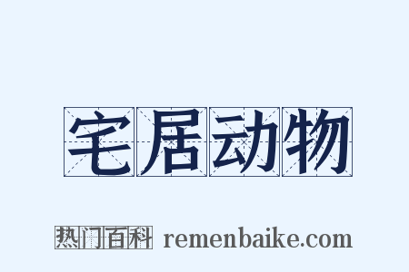 宅居动物是什么意思的图片